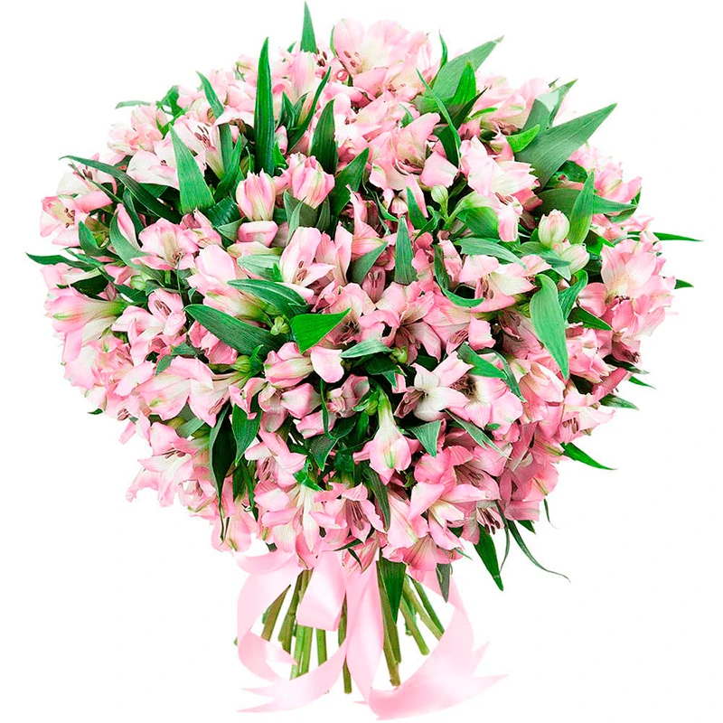 Цветы коллеге