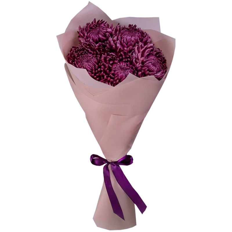 5 одноголовых хризантем бигуди